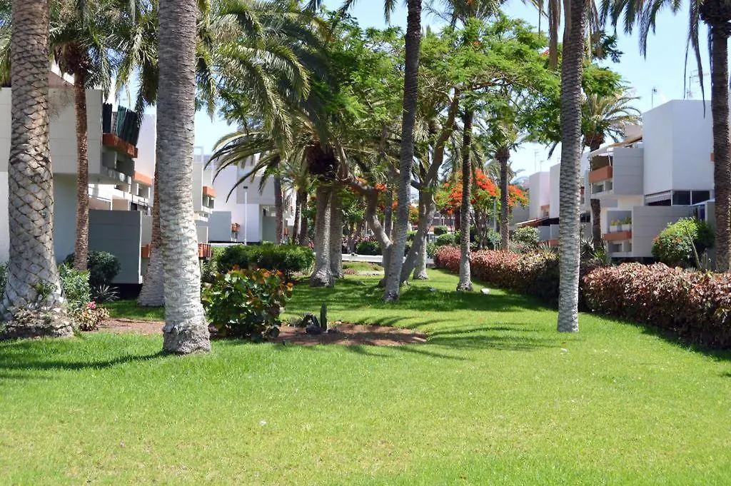 Azulete Apartment Arona  0*, Arona (Tenerife) Spain